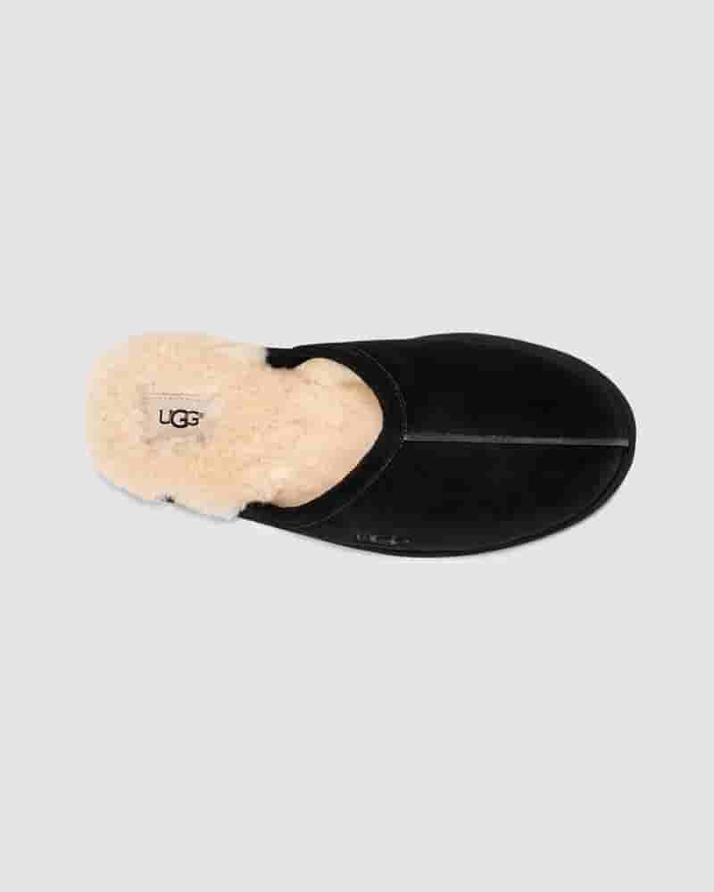 Scuff