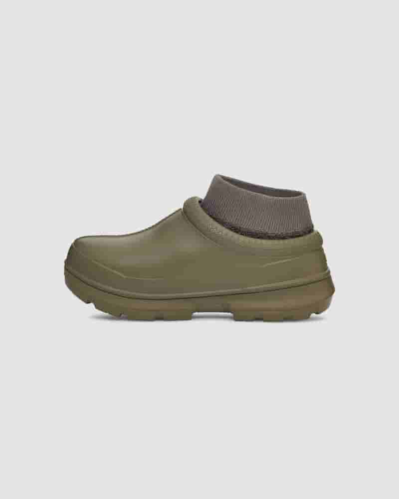 olive tasman ugg