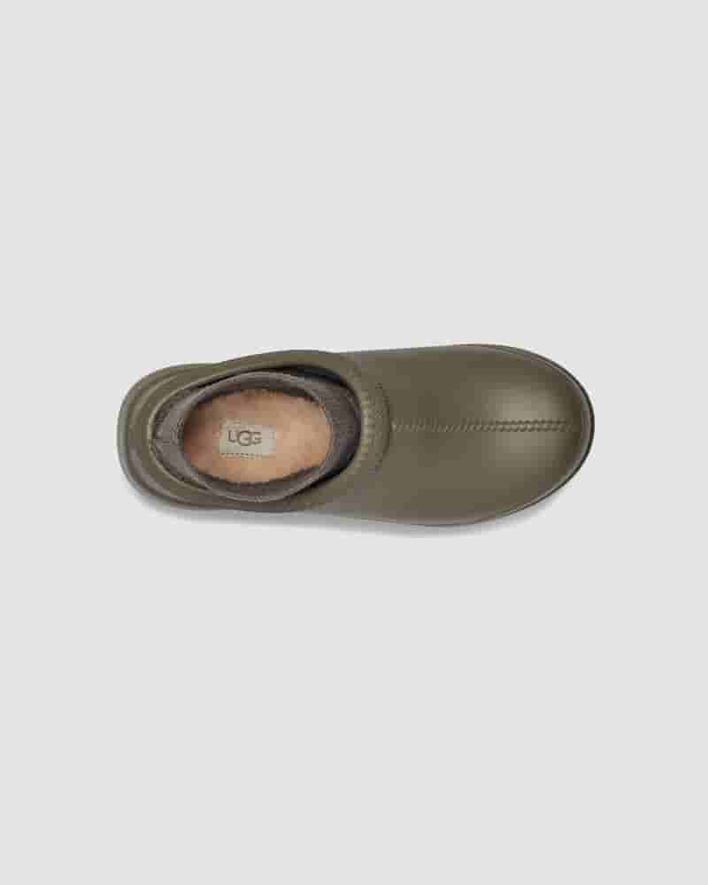 olive tasman ugg