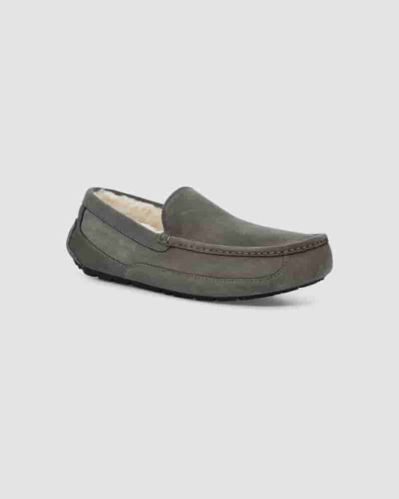 Ascot Slipper