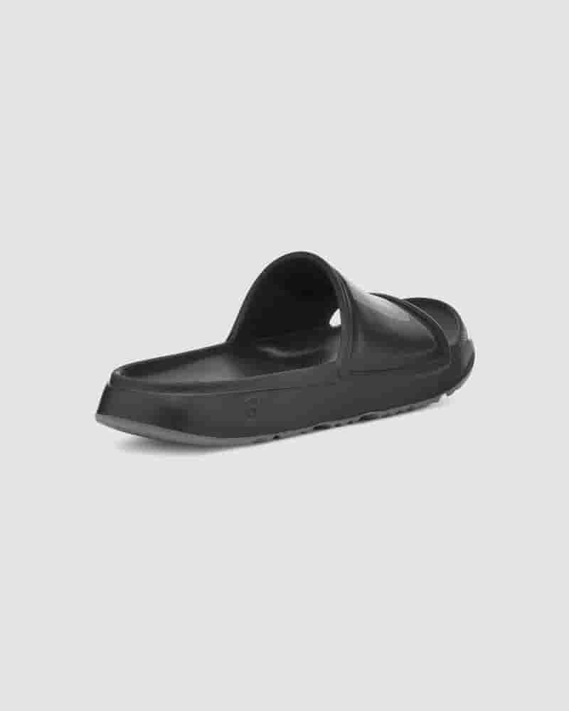 Wilcox Slide