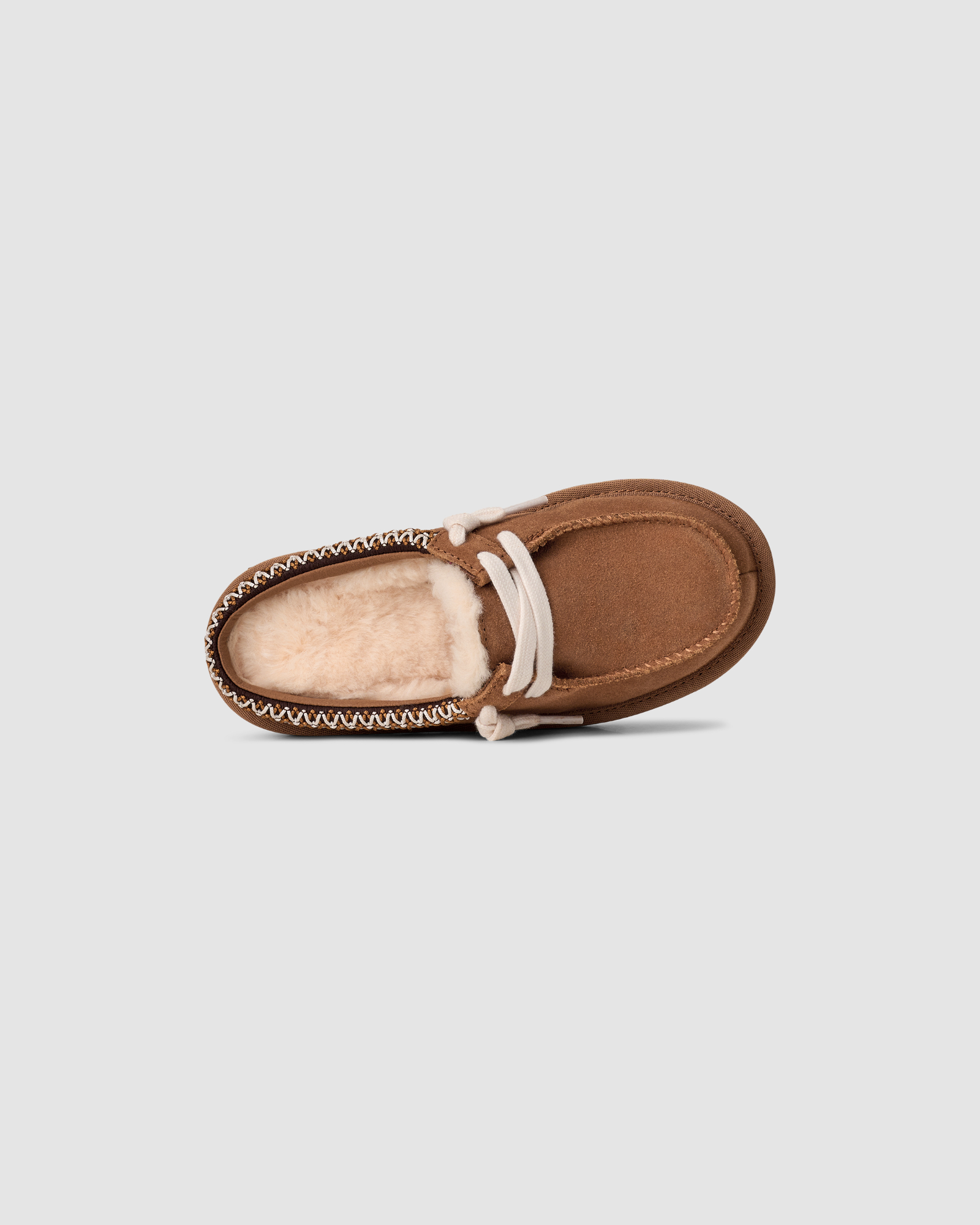 Tasman Mule