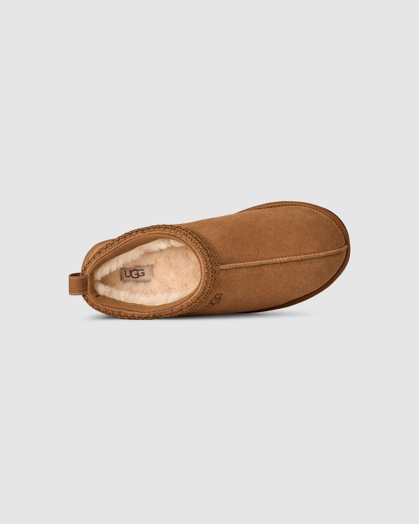 Tasman GTX
