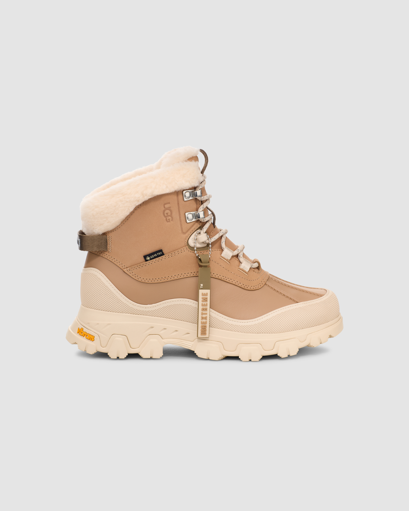 Adirondack Meridian Hiker