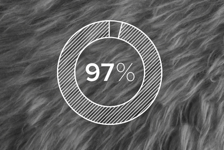 97% of our sheepskin is currently sourced from Leather Working Group Certified tanneries.