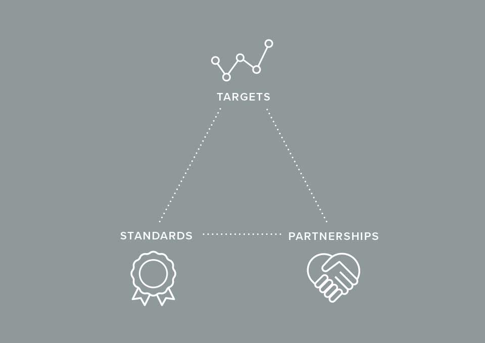 Targets, Standards, Partnerships