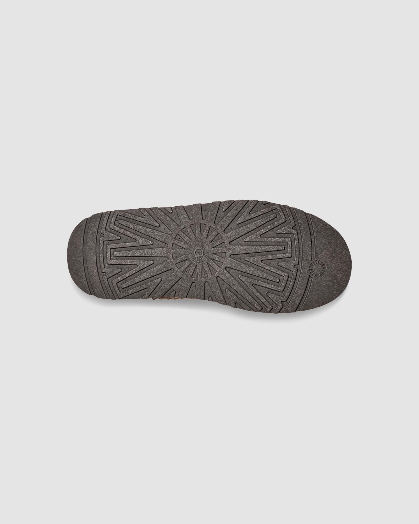 Women's Tazz in Hickory | Women's Slippers & Clogs | UGG