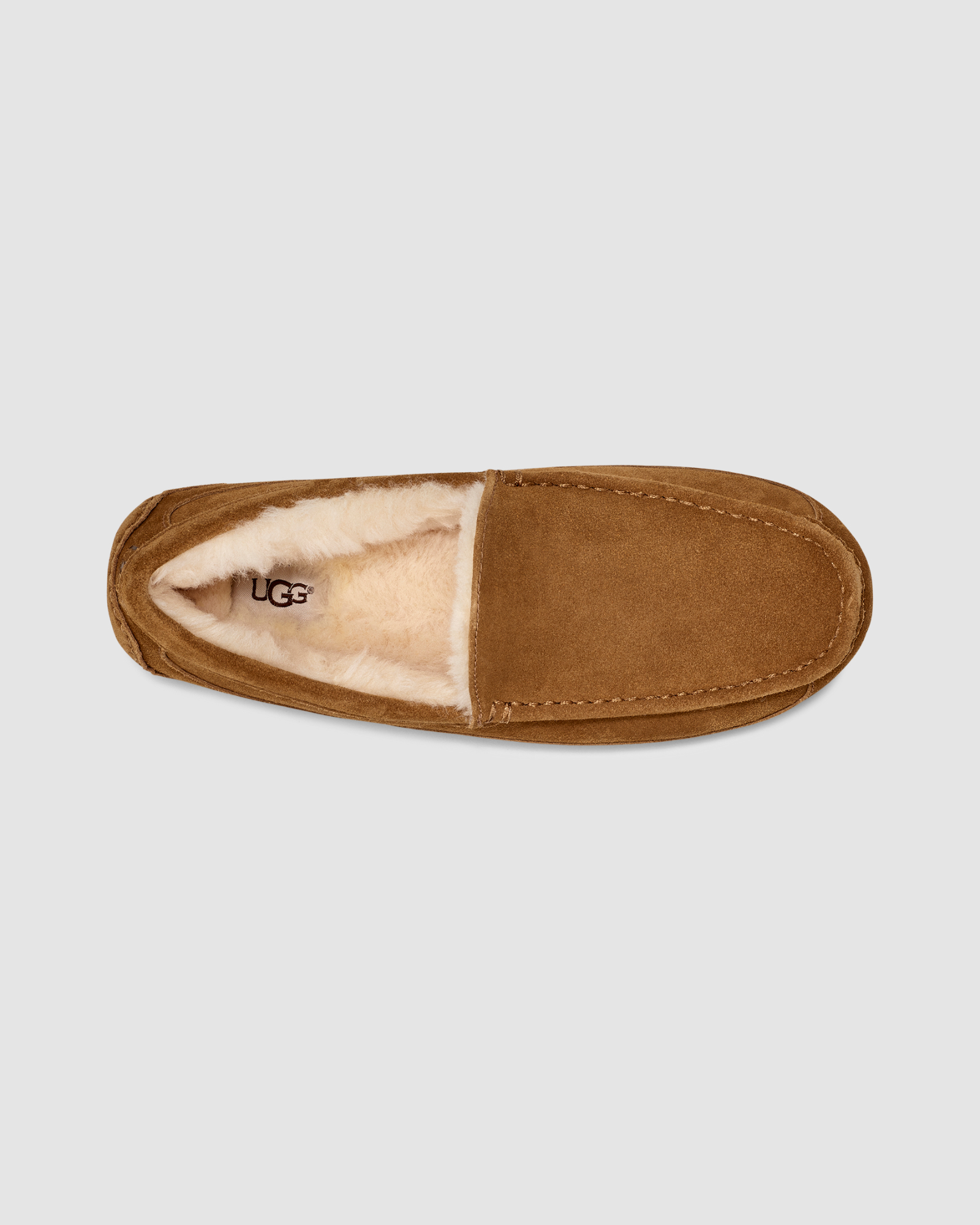 Ugg ascot slipper fashion chestnut